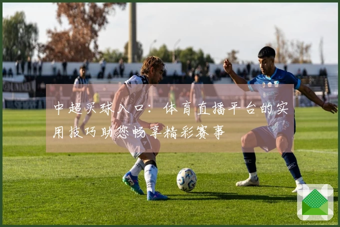 中超买球入口：体育直播平台的实用技巧助您畅享精彩赛事